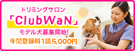 トリミングサロン「ClubWaN」モデル犬募集開始１年間登録料一頭5,000円