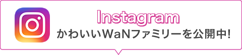 instagram、かわいいWANファミリーを公開中！