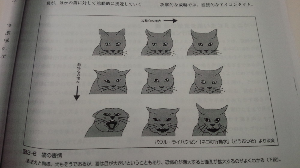 配布資料 (1)