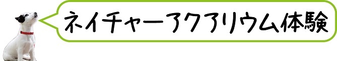 ネイチャー