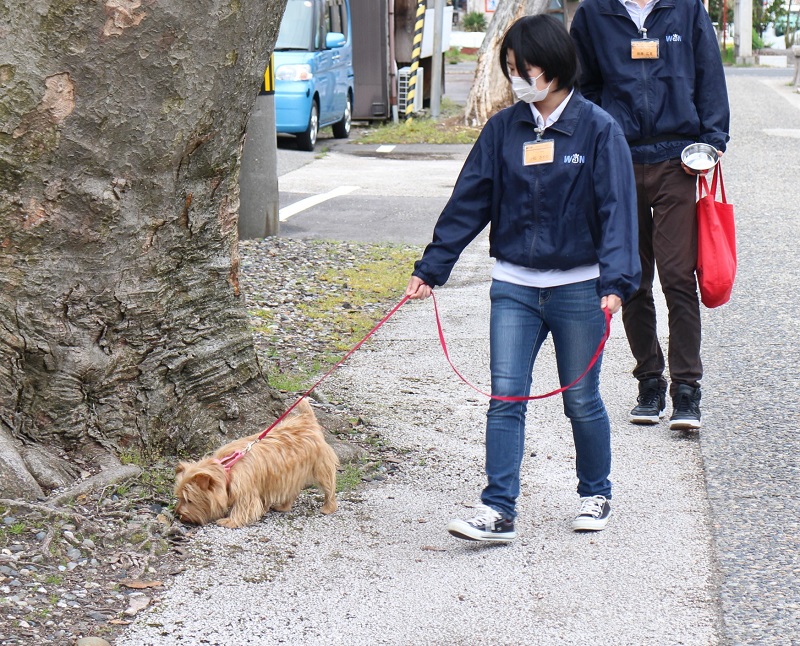 ブログ㊹写真2